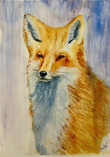 Winter Fox