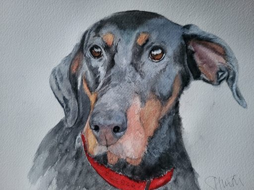 Bella The Doberman